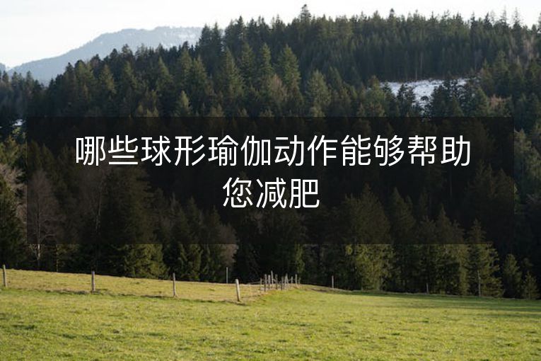 哪些球形瑜伽动作能够帮助您减肥 哪些球形瑜伽动作能够帮助您减肥