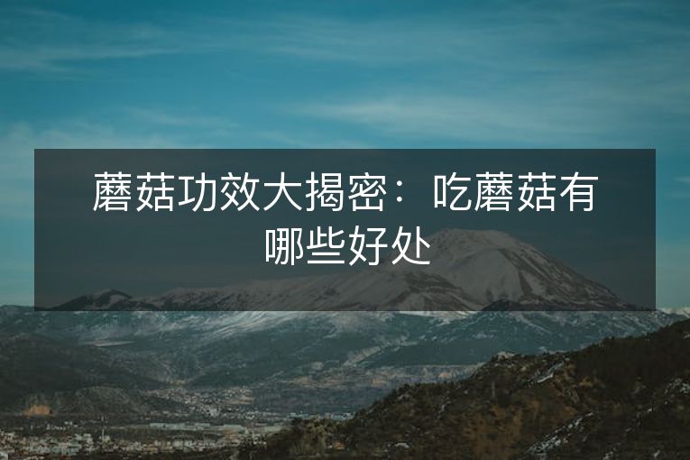 蘑菇功效大揭密:吃蘑菇有哪些好处 蘑菇功效大揭密:吃蘑菇有哪些好处